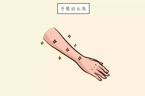 首先看孩子的手臂长度.