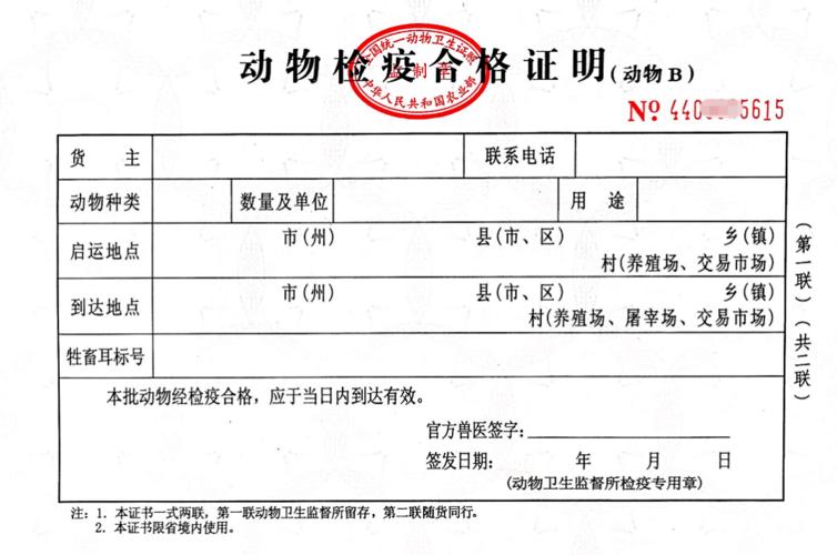 喵喵,汪汪办证去哪儿?深圳这36个动物检疫申报点都可办!
