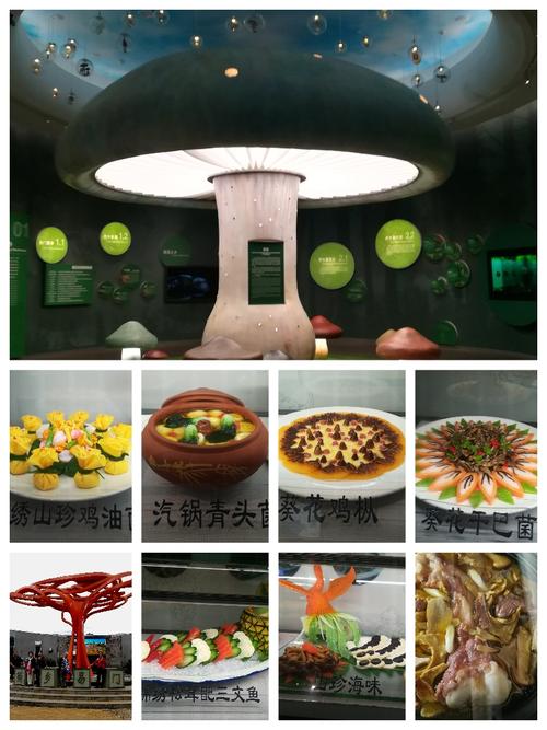 易门之行,野生菌之乡