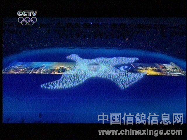 北京奥运和平鸽传承和平与友谊