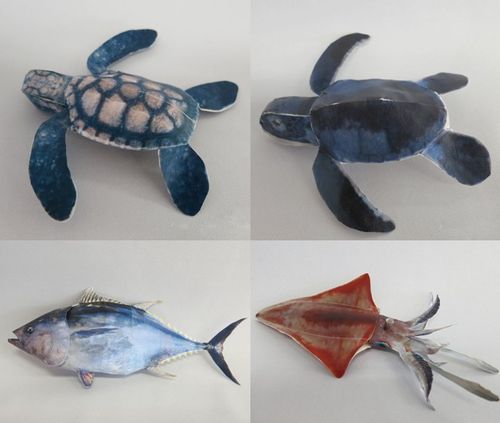 手工diy 立体组装益智玩具 仿真 海洋生物 动物 鱼海龟 3d纸模型