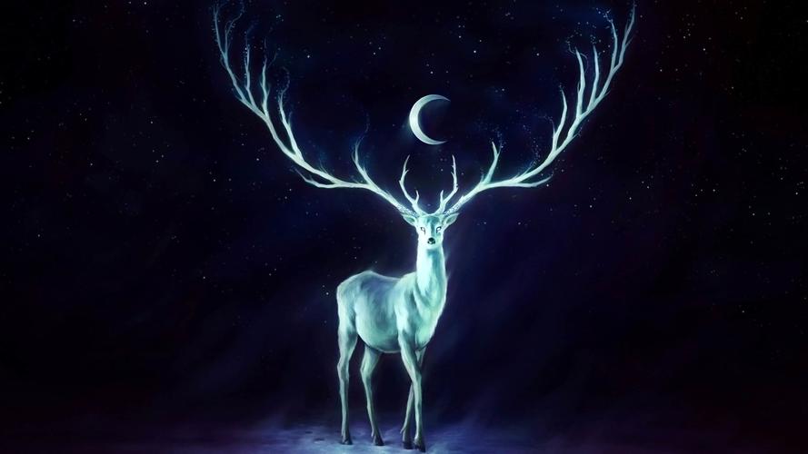 成熟稳重个性化电脑桌面壁纸