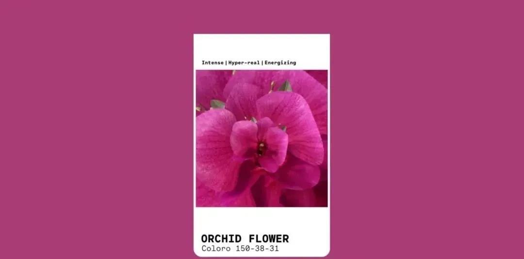 2022春夏流行色彩趋势_颜色