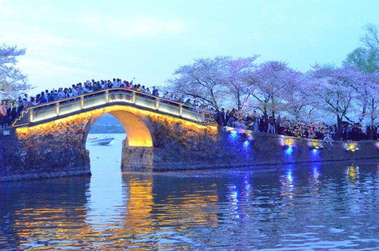 2018年太湖鼋头渚第22届樱花节