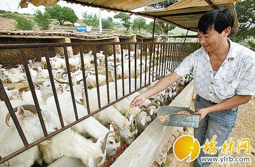 农村改革,创新农业生产经营体系和土地流转方式,扶持农业专业合作社