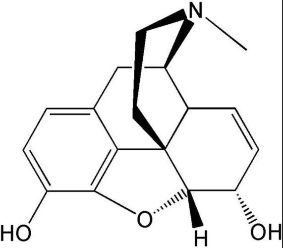 吗啡的化学结构式.