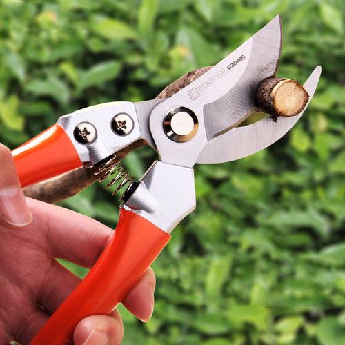 园林花剪园艺剪刀修剪花枝修枝剪树枝剪子剪果树省力花艺剪枝神器