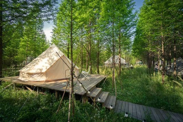 湖州私藏的绝美露营地!春暖花开一起去撒欢