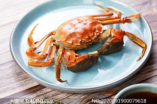 盘子中的大闸蟹特写高清摄影图片