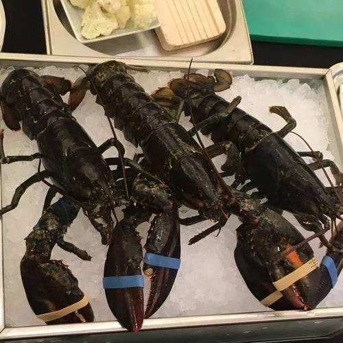 中国作为其重要的海鲜出口市场,新斯科舍省近几年在中国的推广力度