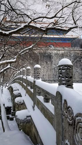 浴雪中山陵