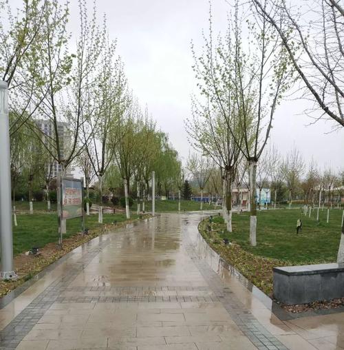 定州这个公园你去过没有?太美了!