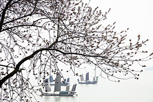 无锡,鼋头渚,太湖,建筑,江南,水乡,湖泊,帆船,风光,旅游,景点,园林