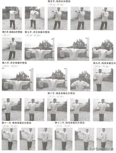 咏春十二式图解,咏春拳:基本功动作之不动肘图解