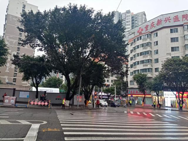 看不起重庆渝北回兴的,来读读|老城区|服装城_网易订阅