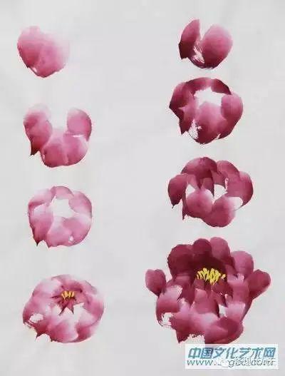 国画牡丹的步骤画法真美丽