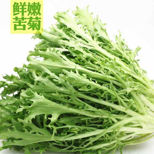 苦菊新鲜苦苣细叶健身轻食生菜沙拉食材500g即食蔬菜沙拉蔬菜新鲜