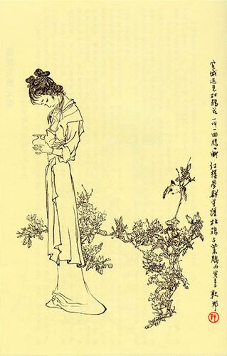 戴邦敦《红楼梦群芳图谱》—— 杜鹃紫鹃