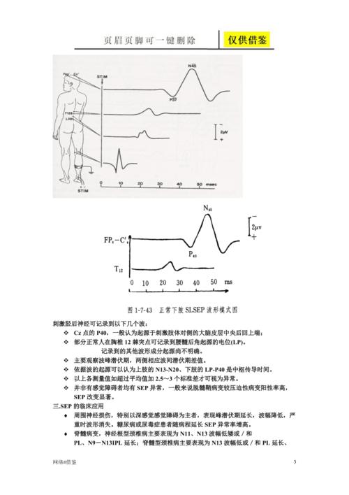 体感诱发电位行业一类