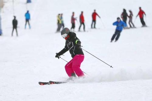 阳信滑雪场被选定为冰雪运动消费券试点活动场馆