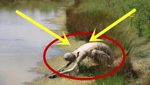 传说中的"水鬼"竟然被人抓住,知道真相后震惊了!