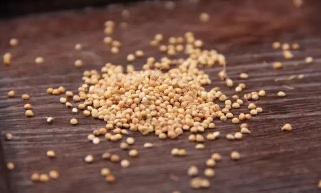 中药处方中的"稻芽"和"谷芽",你能分清吗?