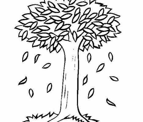 秋天数落叶的简笔画