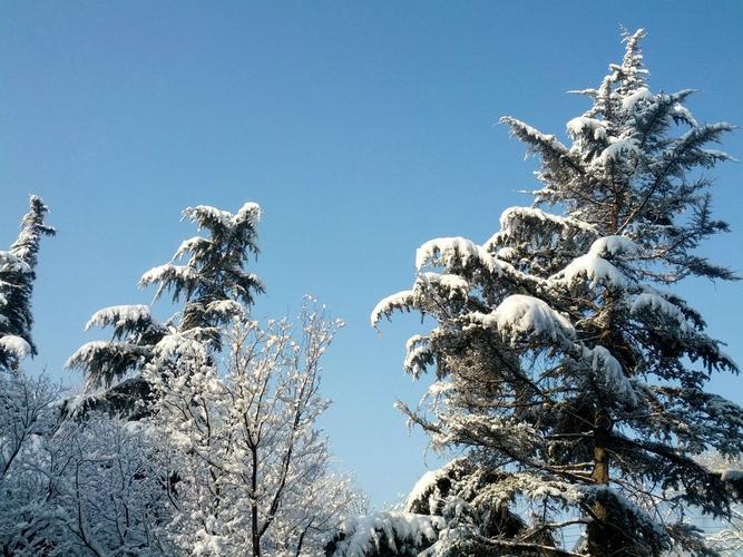 北京春天雪景