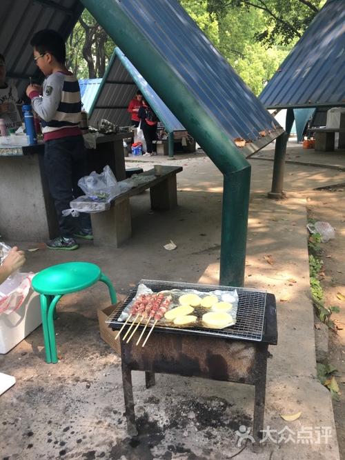 共青森林公园烧烤区-图片-上海美食-大众点评网