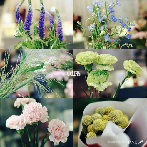 鲜花花材_花束_花店_每周一花_家居家装_家居装饰