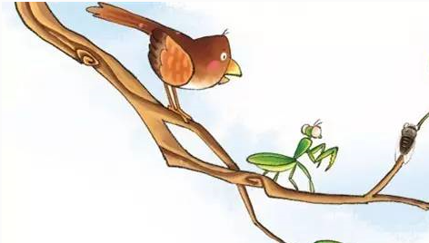 螳螂捕蝉 黄雀在后后面还有一句是什么?