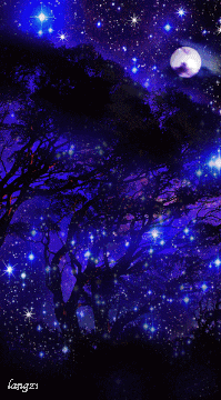 qq图片20110624094309