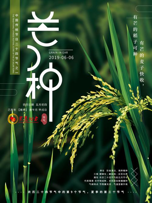 众道妙方提醒您芒种节气注意养生哦