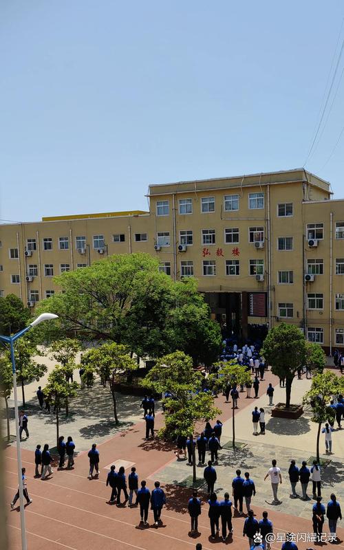 这几天通知书慢慢发出来,26号新生就得来学校报到,还要领学习资料