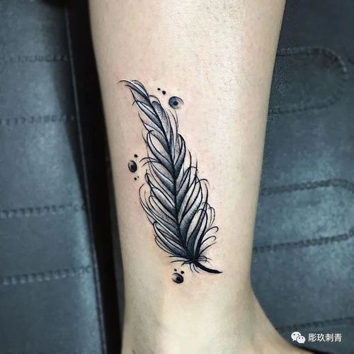 羽毛纹身图案手稿素材