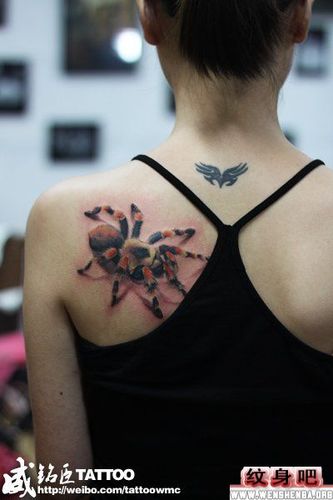 美女肩背蜘蛛纹身图案