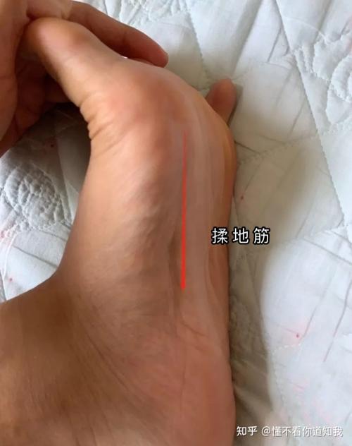揉地筋,按着这条红色的竖线上下按压即可