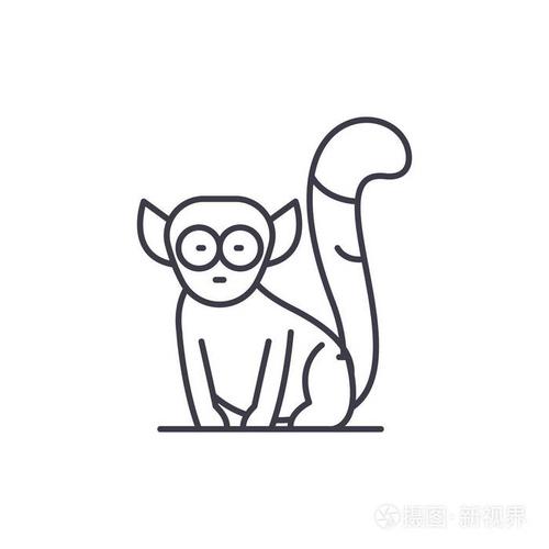 狐猴线图标概念.狐猴向量线性例证, 标志, 标志
