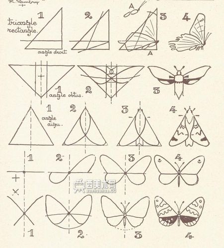 怎么画蝴蝶_几种简单的方法教你学会画蝴蝶
