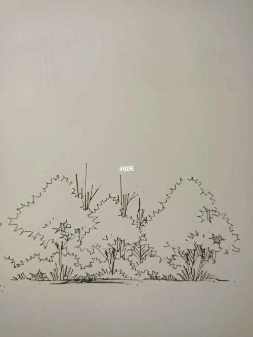 手绘单体树‖景观快题_考研_设计_手绘_风景_园林_景观设计_兴趣爱好
