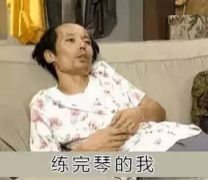 钢琴表情包,学琴的人才能看懂!
