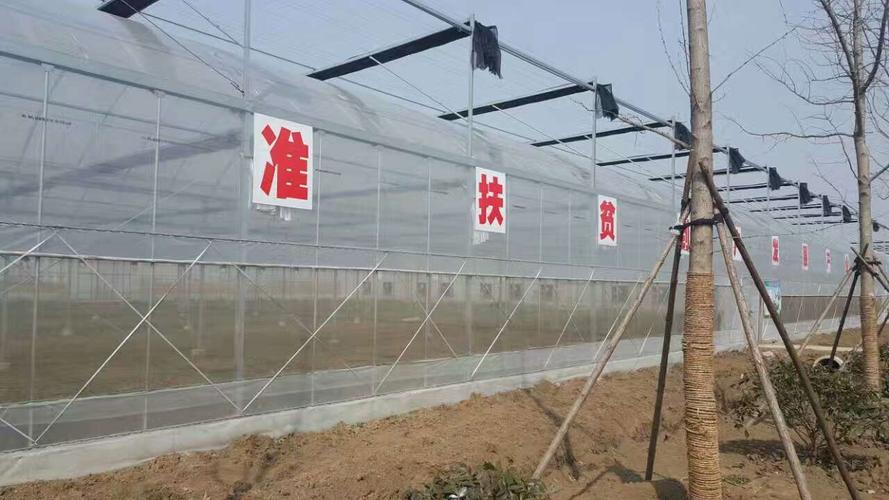 安徽泗县:四到位促进驻村帮扶力量用得好