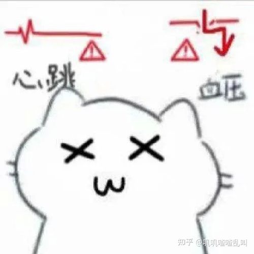 有没有这个血压猫猫的表情包