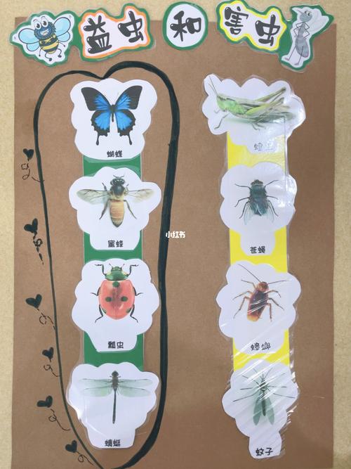 小班主题墙2-虫虫飞93_教育_教育_学前教育