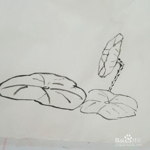 国画荷叶怎样简单画有立体感