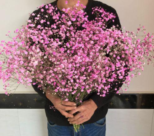 并且小巧的花朵非常的清新,也是很适合送女生的花,颜值也