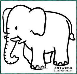 极度濒危动物简笔画