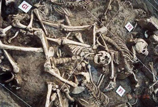 尸骨发掘现场长平之战赵军死得有多惨?