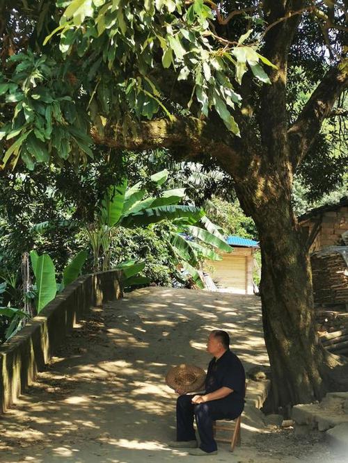 阿木爷爷在树下乘凉.新京报记者王双兴摄