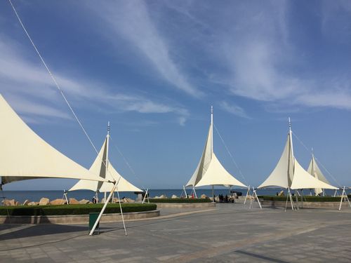 龙口东海黄金海岸2020年10月6日至11月6日手机摄影剪影